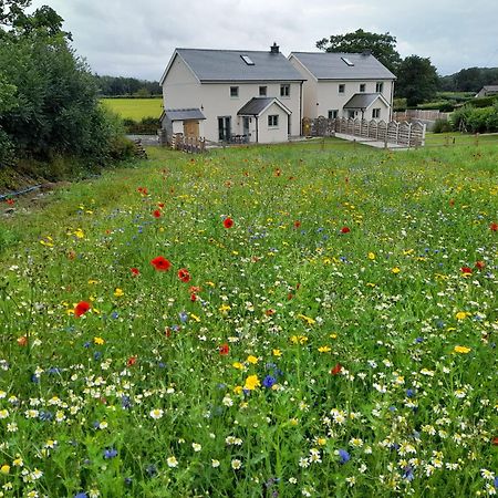 Family Country Cottage With Stunning Mountain Views Myddfai Dış mekan fotoğraf