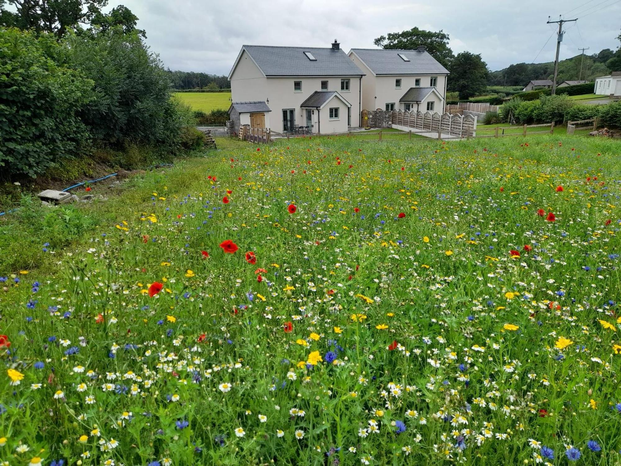 Family Country Cottage With Stunning Mountain Views Myddfai Dış mekan fotoğraf